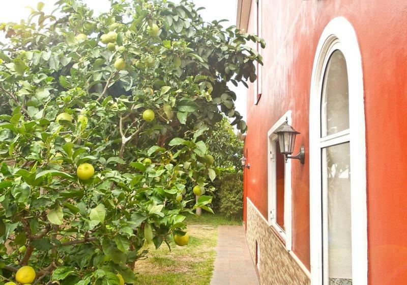 Casa Buganvilla ロス・レアレホス エクステリア 写真